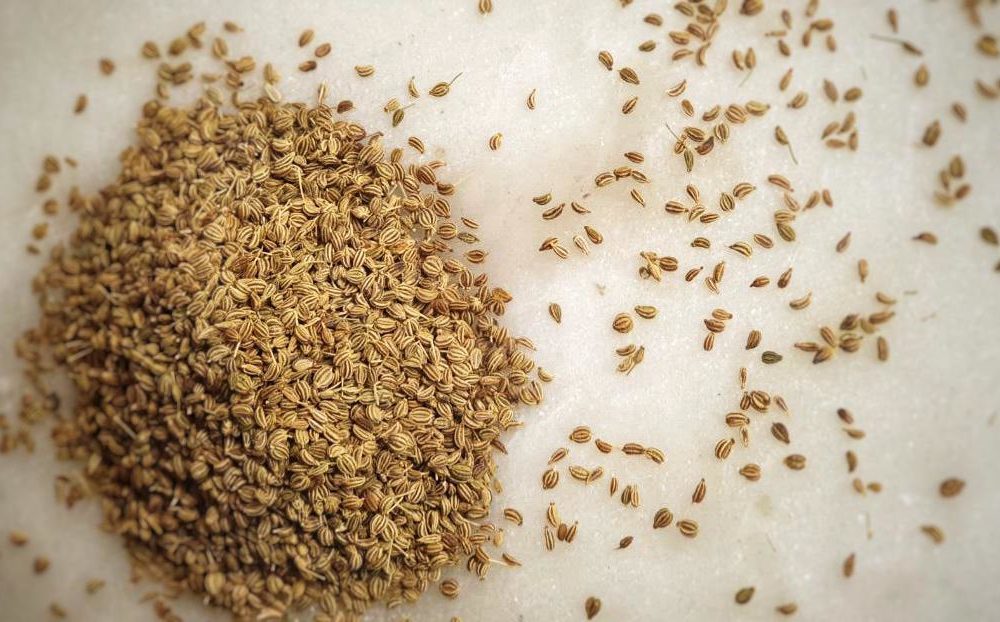 Ajwain