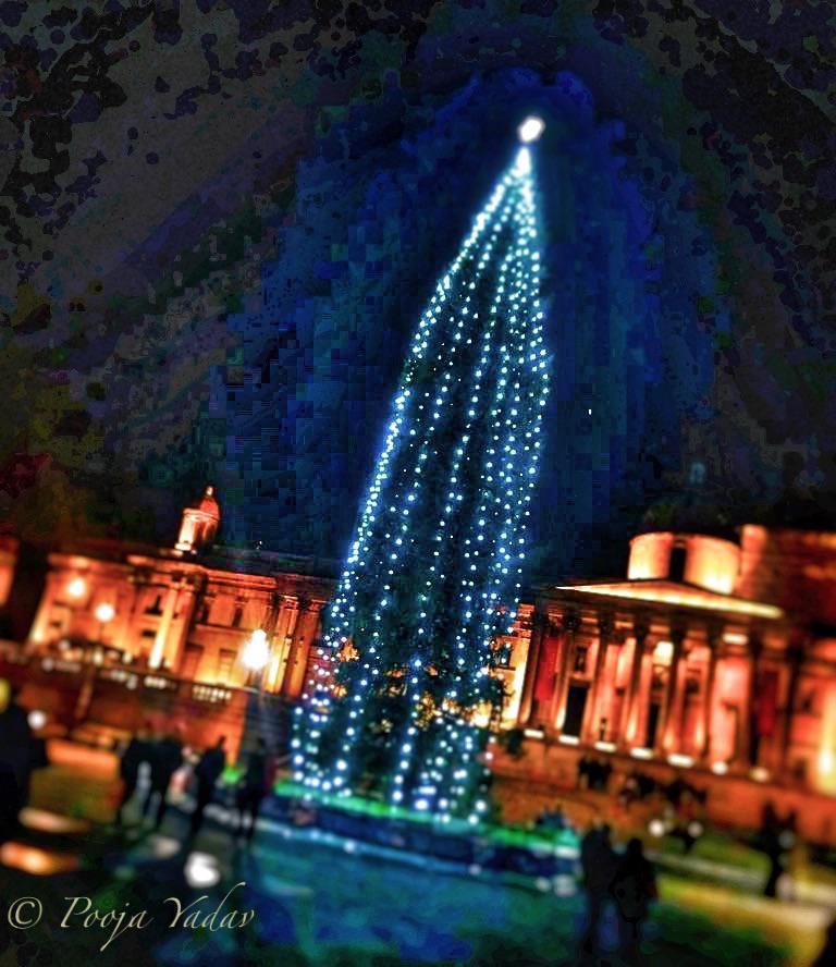 Christmas Tree, at Trafalgar Square, London